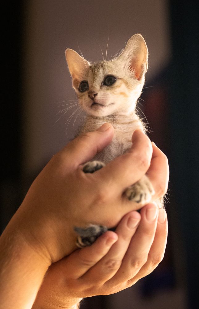 Photograph by Sanja Ristivojevic