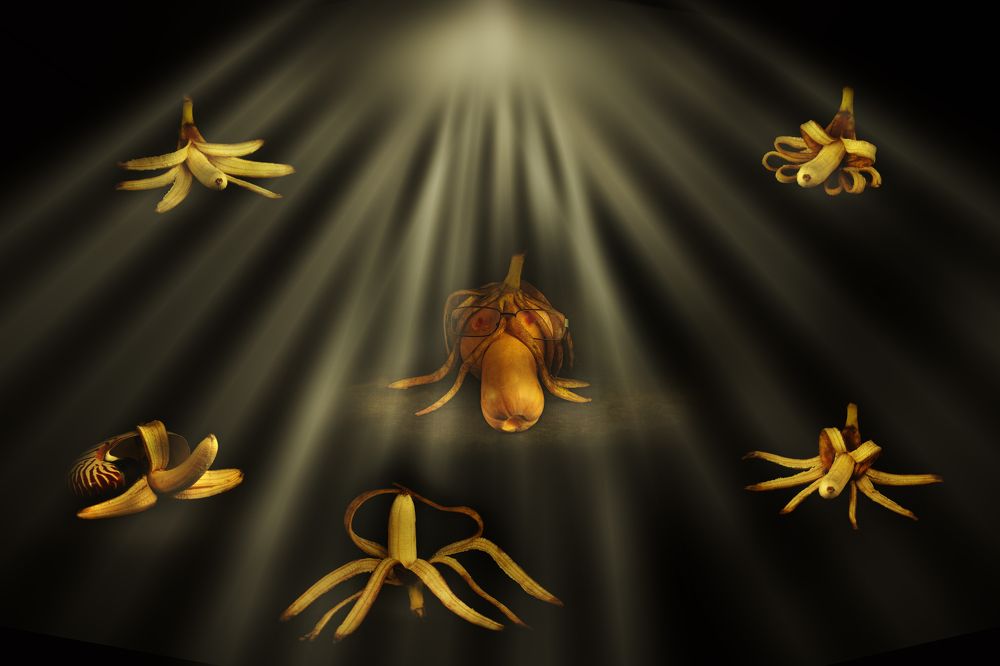 Внимание. Суд идёт.