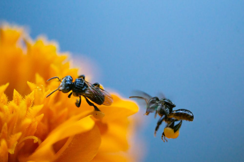 Photograph by Sonnadara Kushan Madushanka