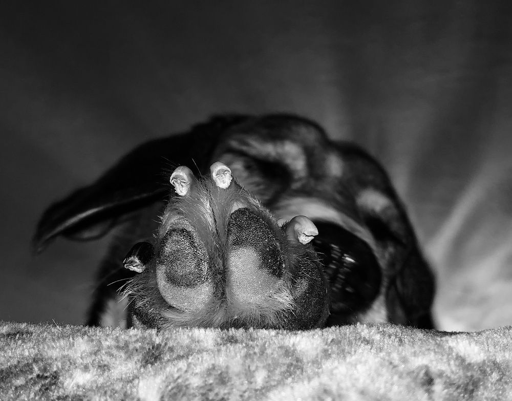 Photograph by Светлана Гринкевич