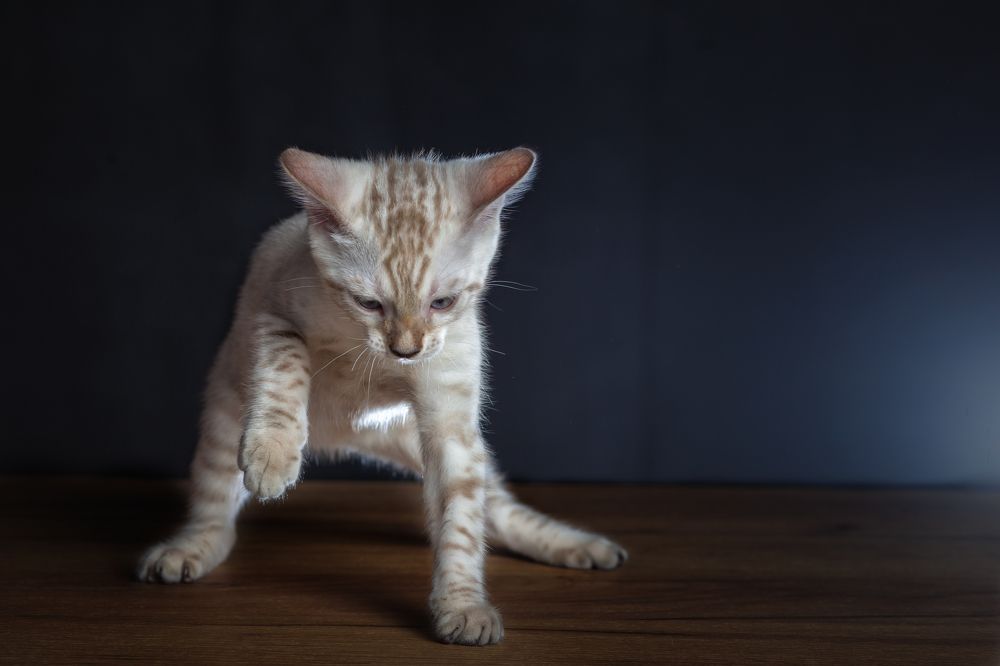 Photograph by Анастасия Рязанцева