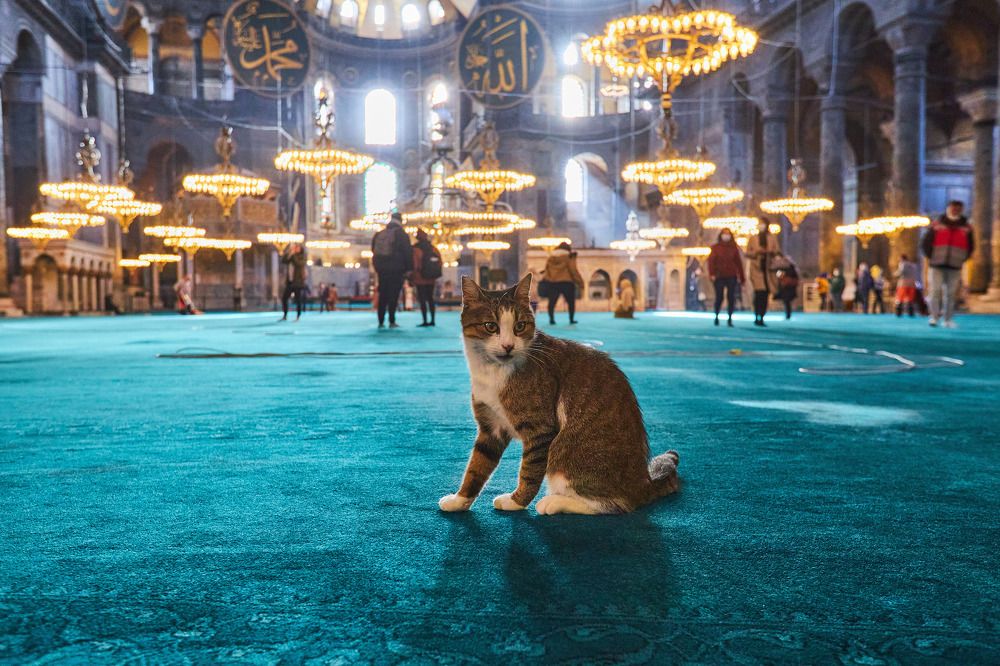 Photograph by Наталия Кирсанова