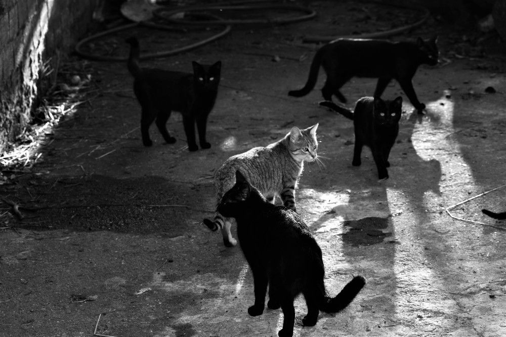 This world is no longer mine