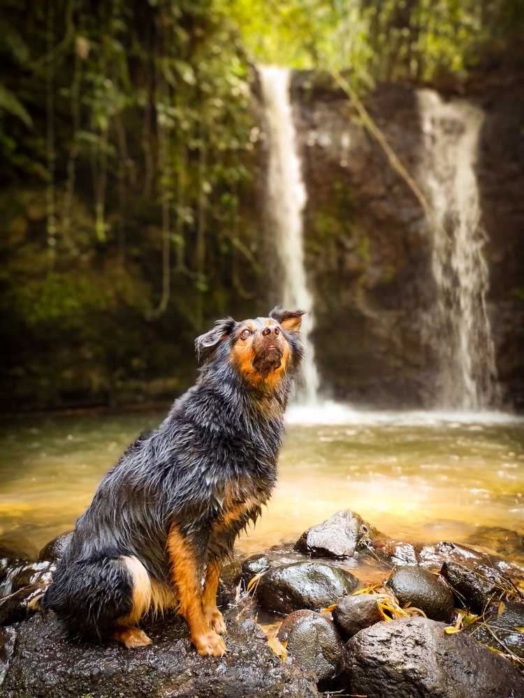morgan in the waterfall