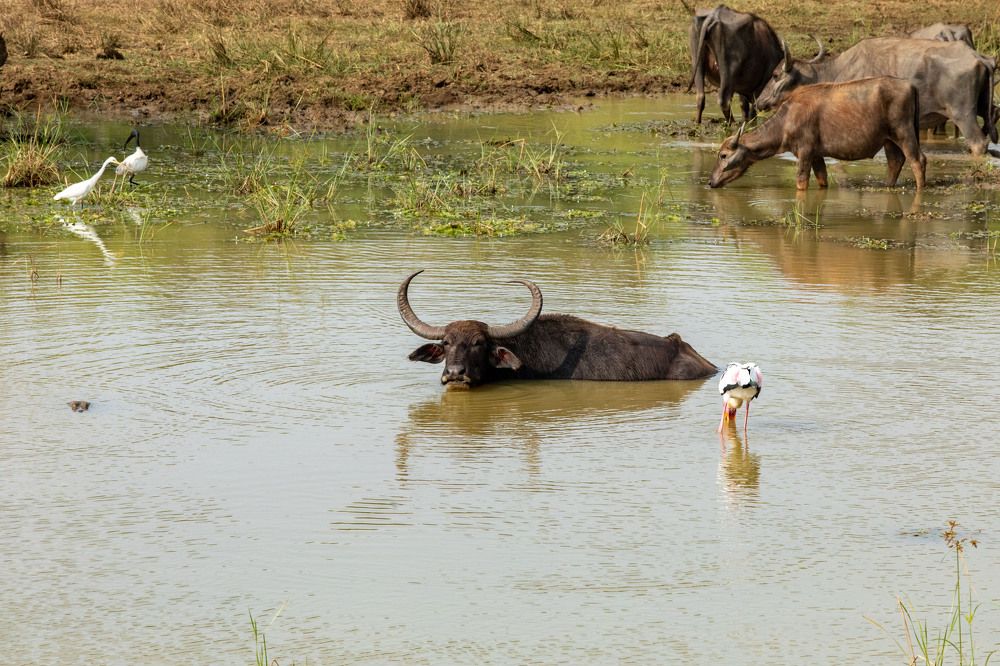 Photograph by Яна Полосина