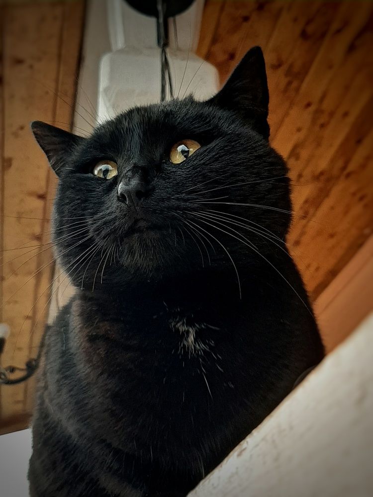 Photograph by Кристина Тарутина