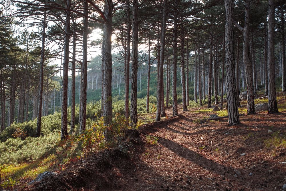 Photograph by Артём Корнев