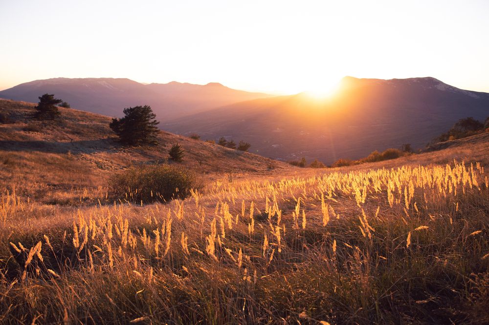 Photograph by Артём Корнев