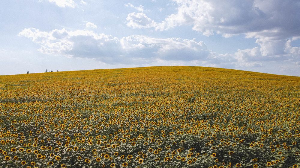 Photograph by Артём Корнев