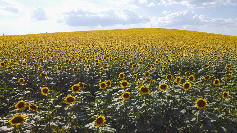 Photograph by Артём Корнев