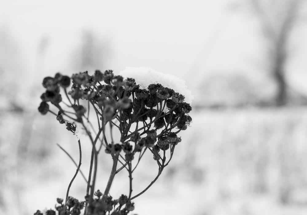 Photograph by Ольга Бондаренко