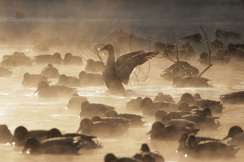 Photograph by Елизавета