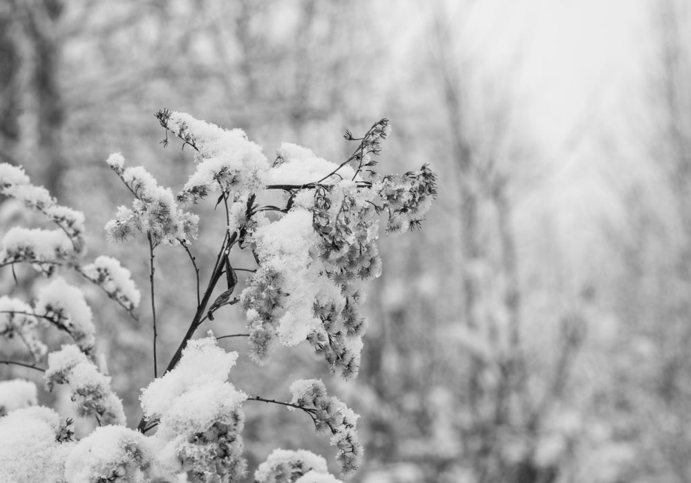 Photograph by Ольга Бондаренко