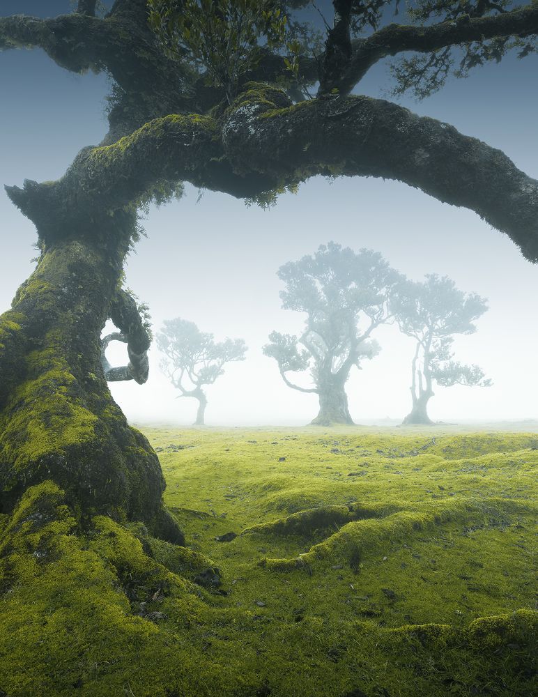 Photograph by Roksolyana Hilevych