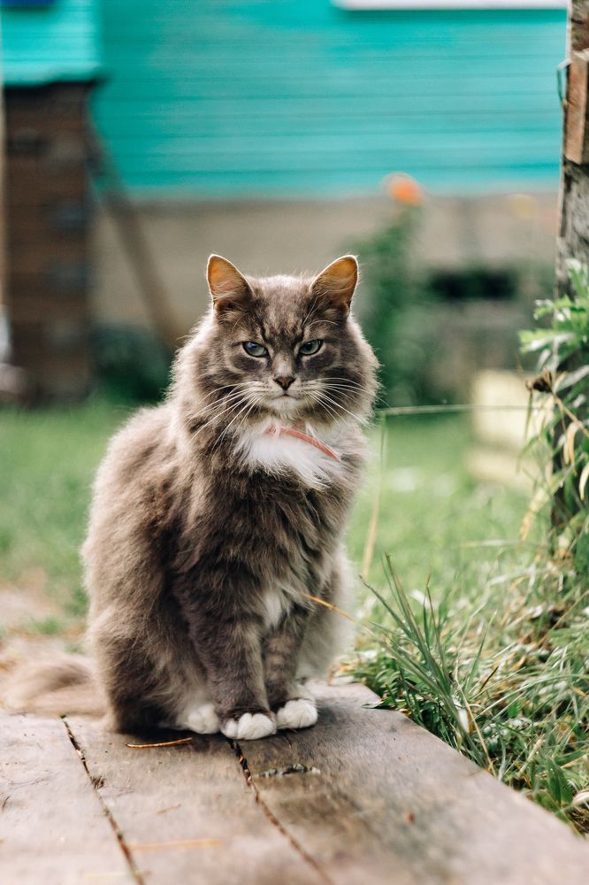 Photograph by Татьяна Соколова