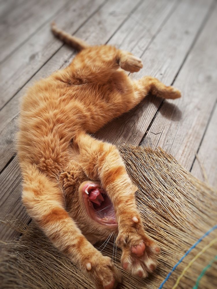 Photograph by Кристина Тарутина