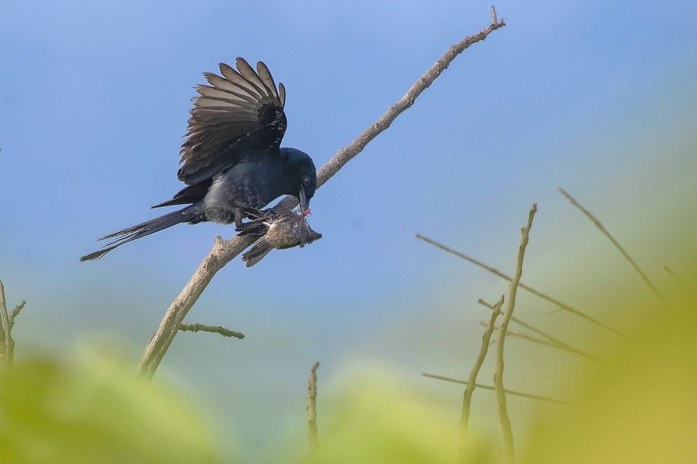 Photograph by Ritam Biswas