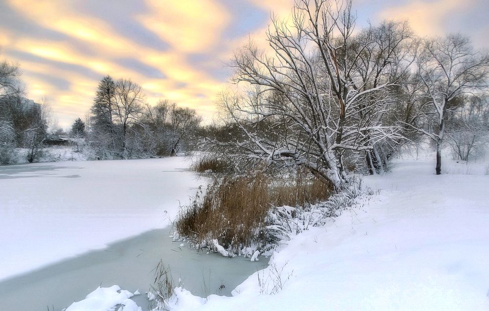 Зимние краски