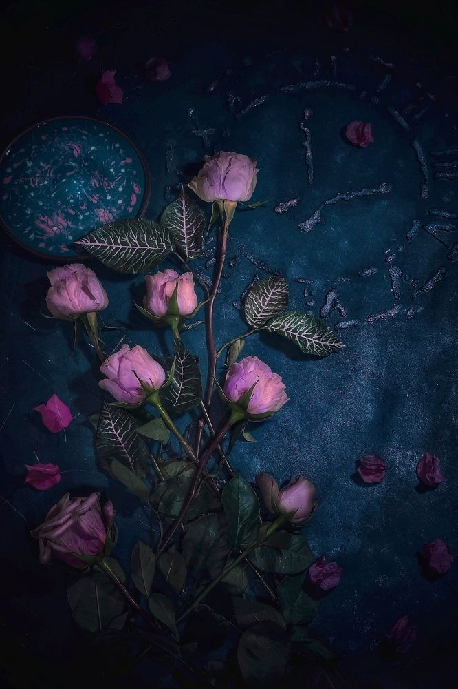 Photograph by Valeria Radul