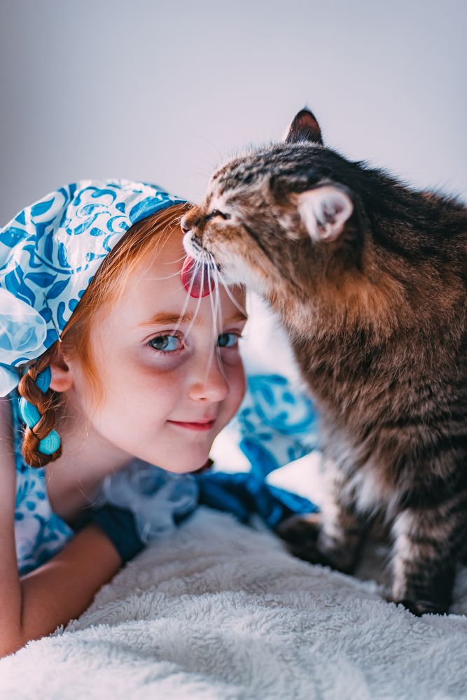 Фотография автора Дарья Шевченко