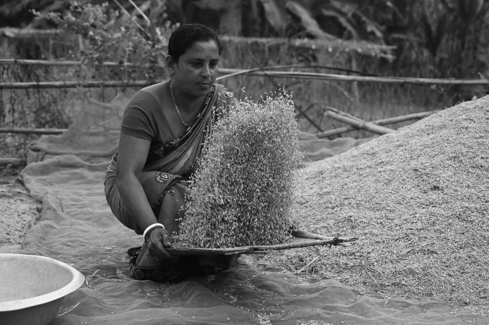 Photograph by SRIMANTA RAY