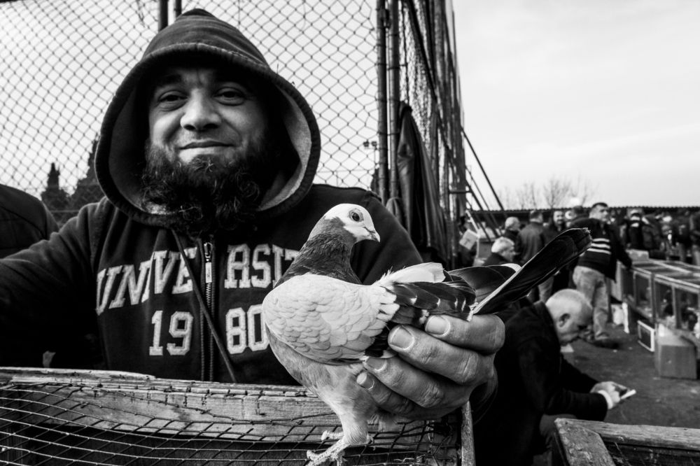 Photograph by hatice karakan