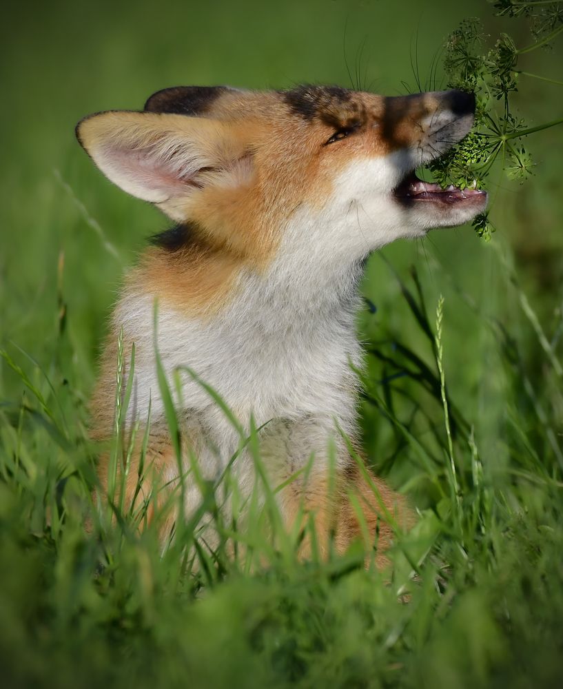 Photograph by Елена