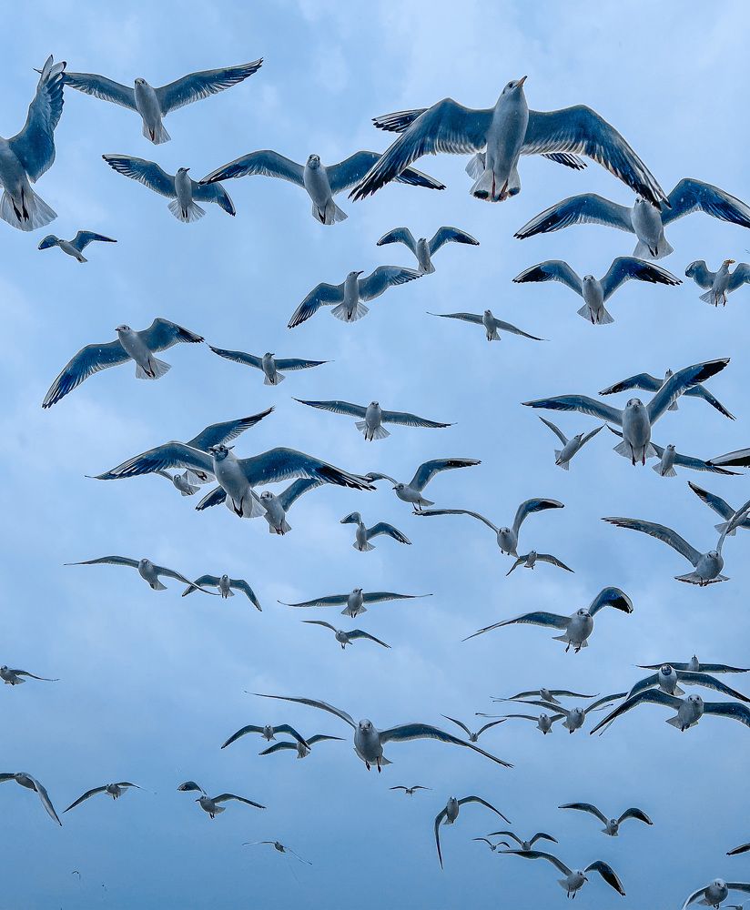 Photograph by Ольга Сорокина