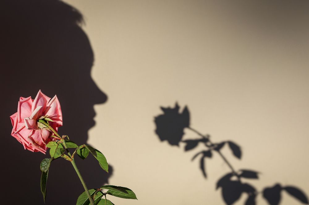 Photograph by Андрей