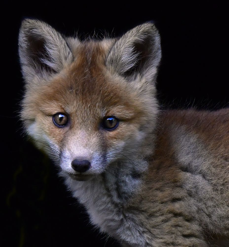 Photograph by Елена