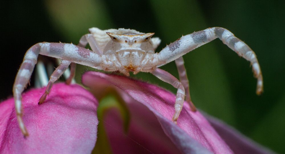 Фотография автора Laddu Sasindu Pramuditha De Silva