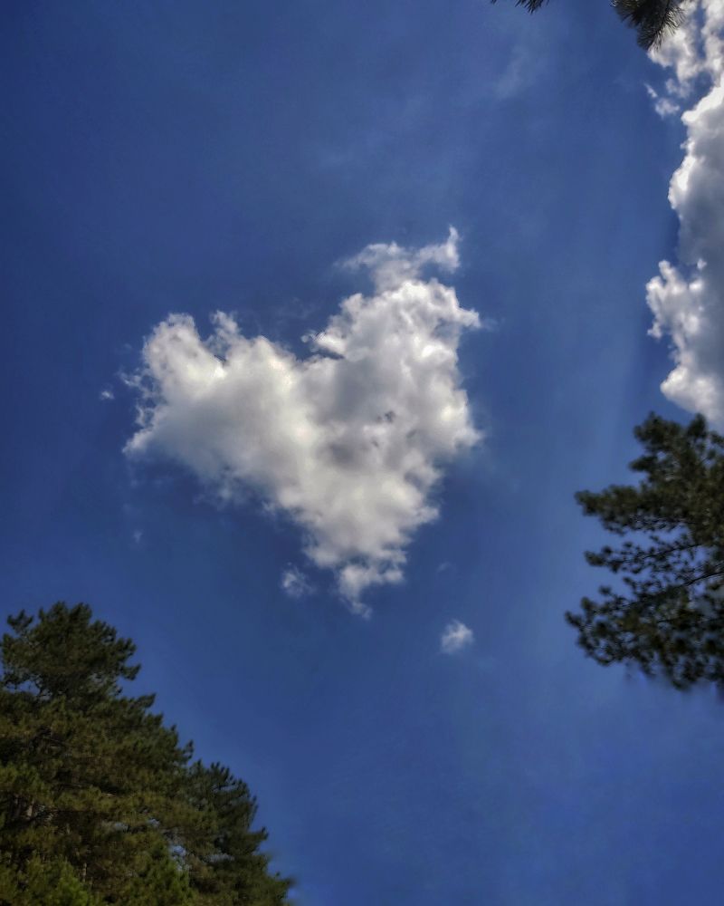 Photograph by Tkachenko Anastasia