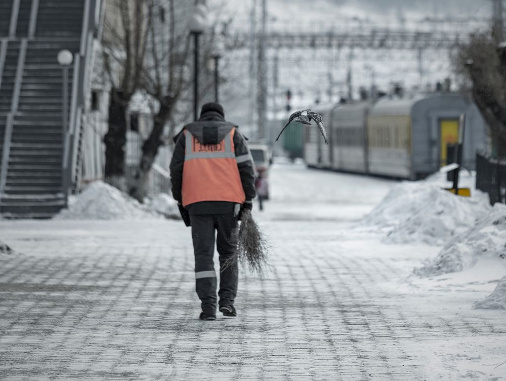 Photograph by Портных Дмитрий