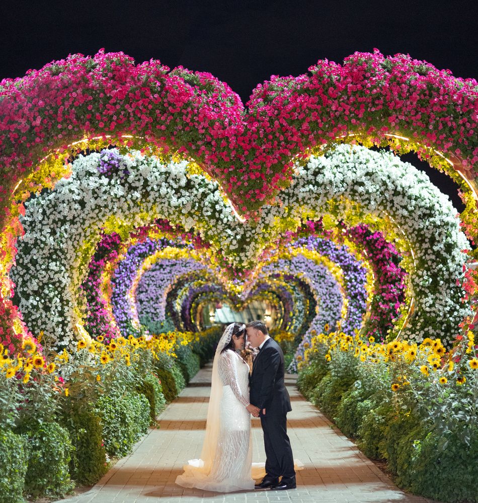 Фотография автора Nima Amanat