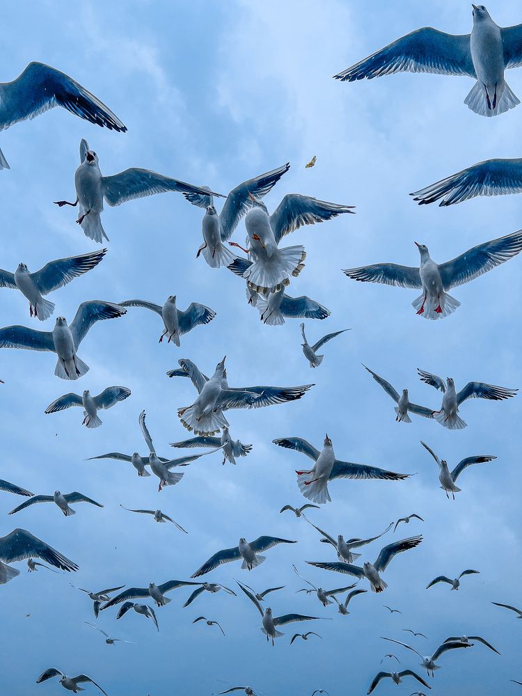 Photograph by Ольга Сорокина