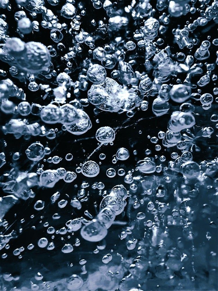 Photograph by Яна Галимуллина