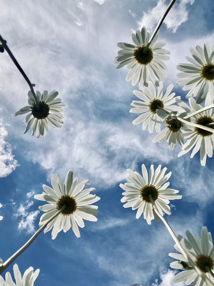 Photograph by Иованна Решетова