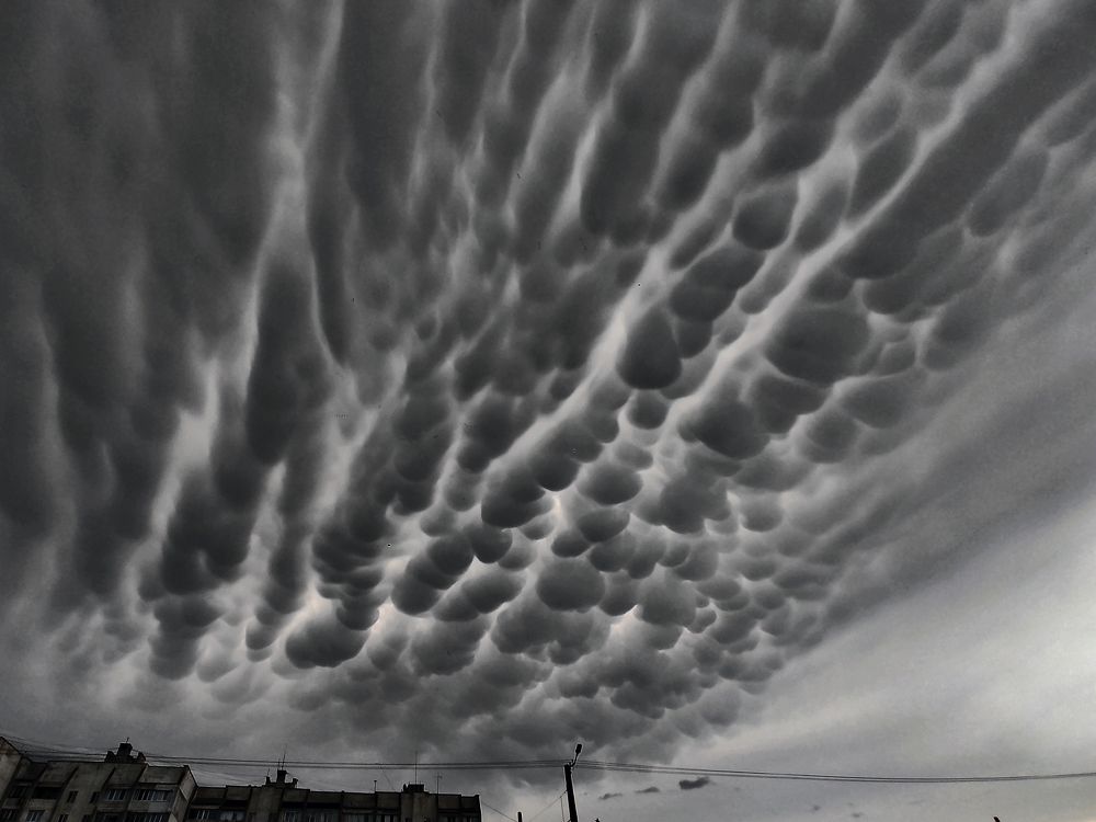 Photograph by Tkachenko Anastasia