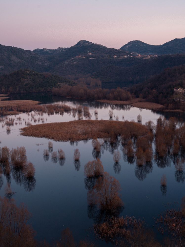 Фотография автора Апполинария Калашникова