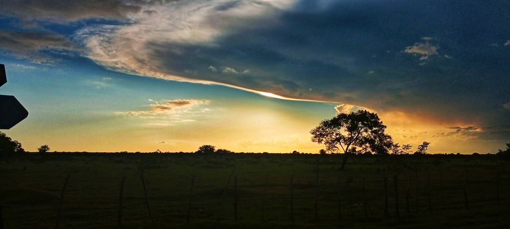 Photograph by Adelaida Frias Hernández