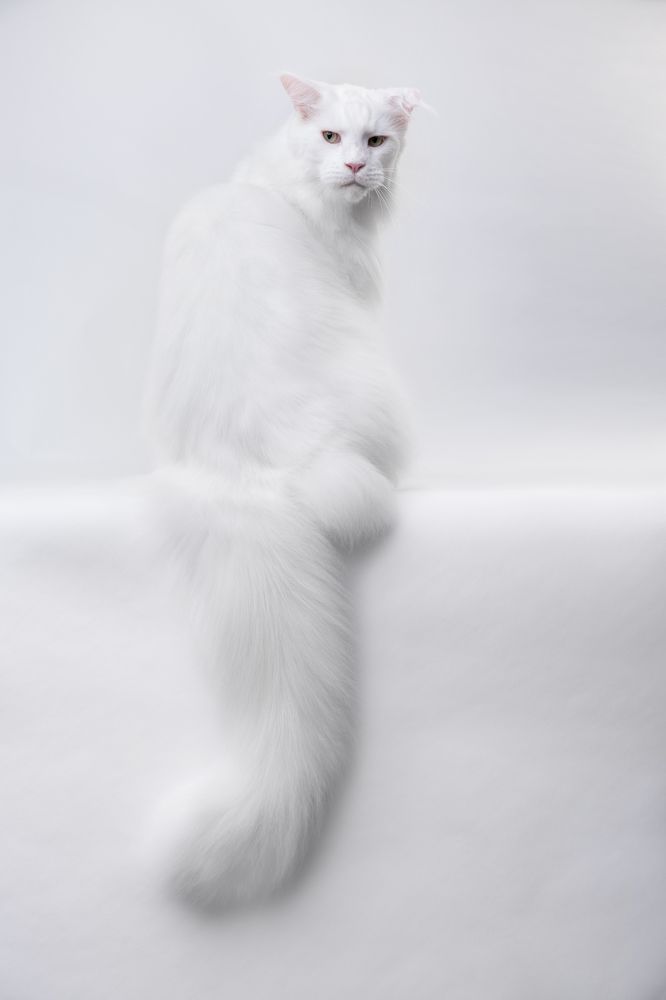 Photograph by Ляйс Наталья