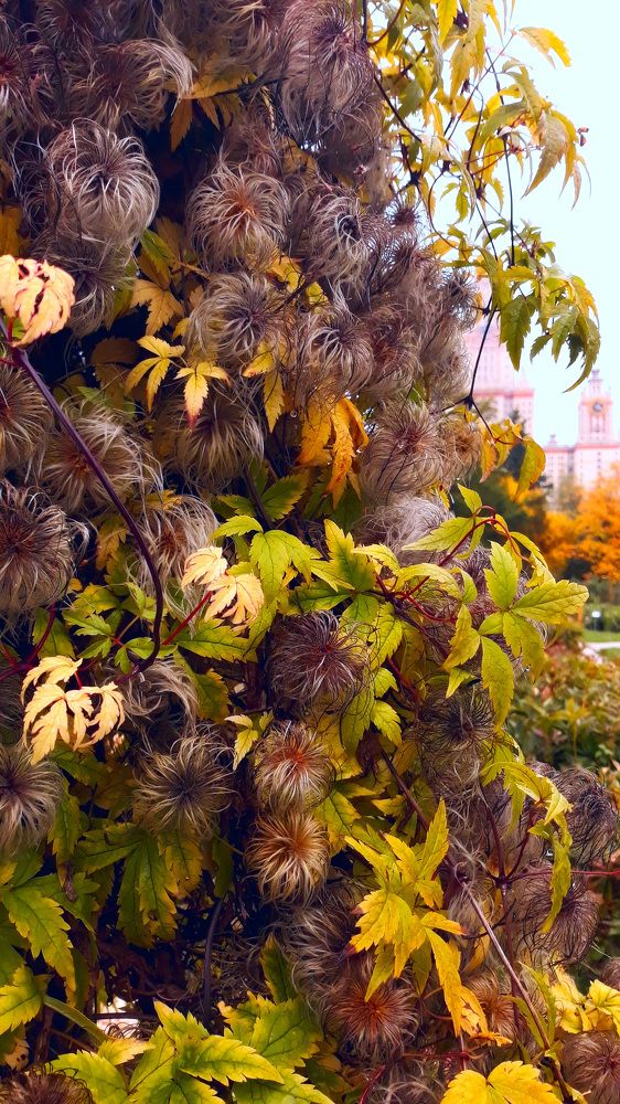 Фотография автора Konstantin