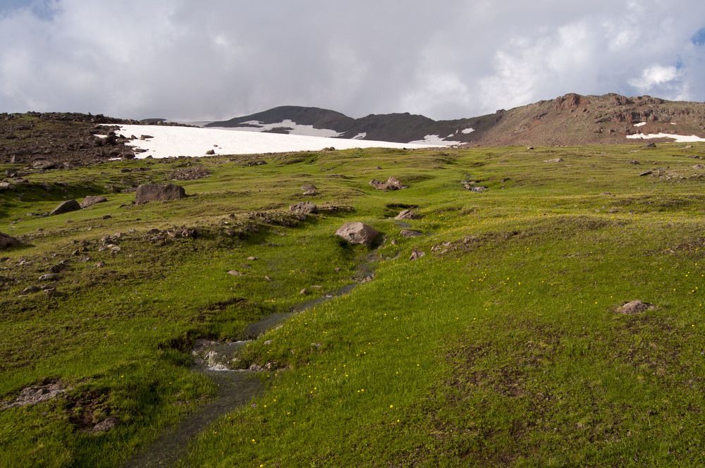 Photograph by Анастасия Езепчук