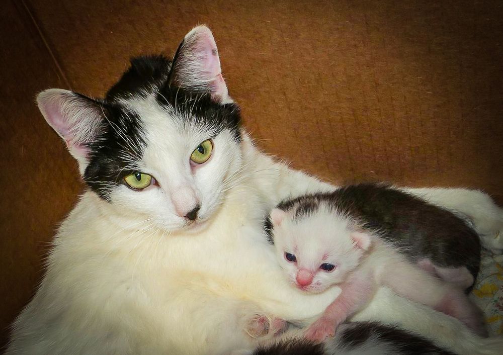 Фотография автора Ксения Смирнова