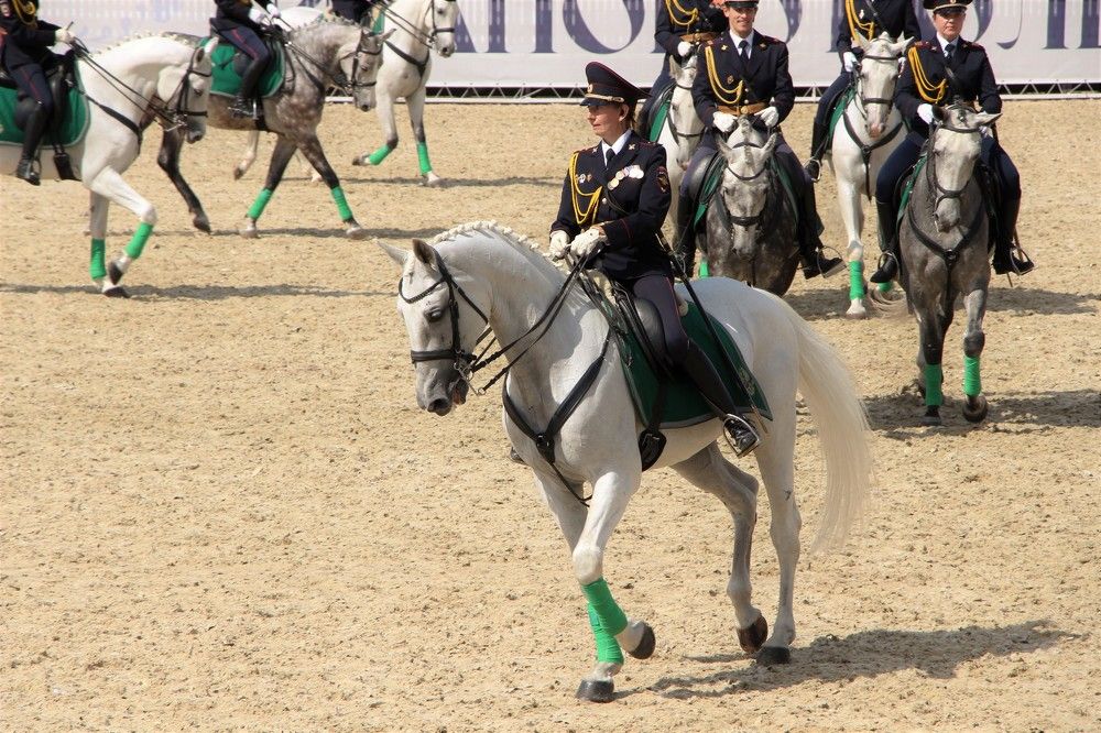 Конная полиция