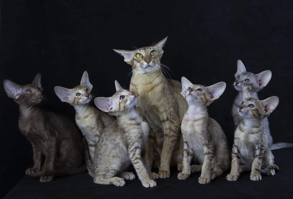 Photograph by Феденкова Татьяна