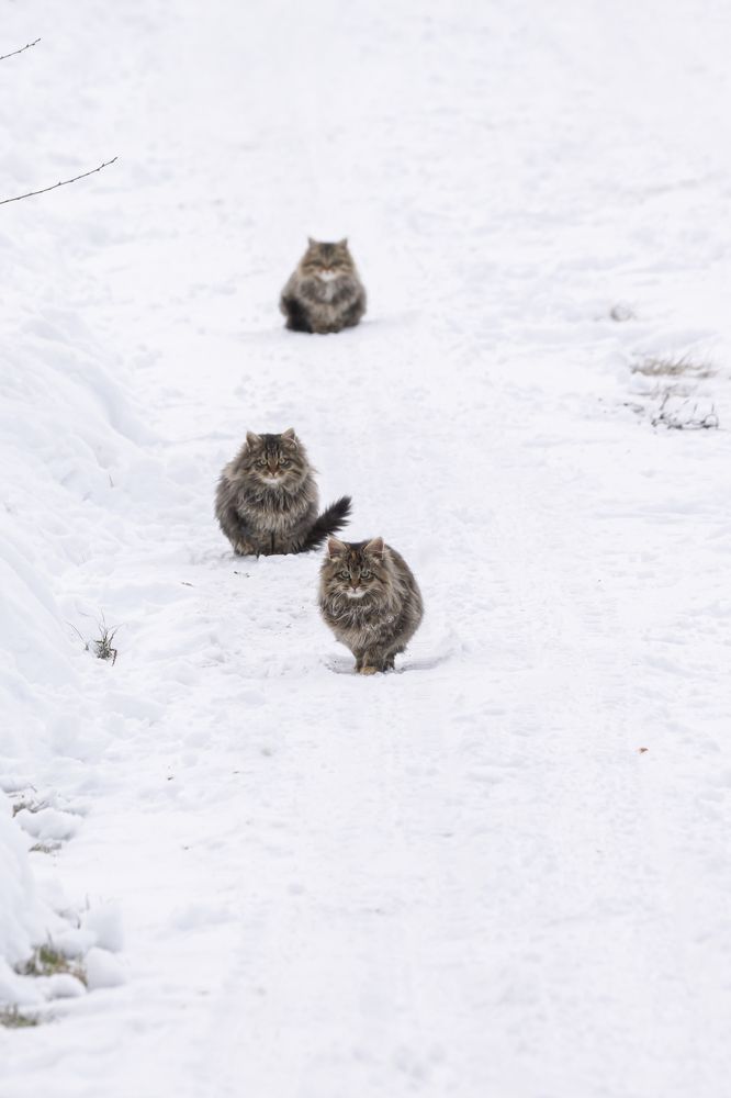 Photograph by Крючкова Ольга