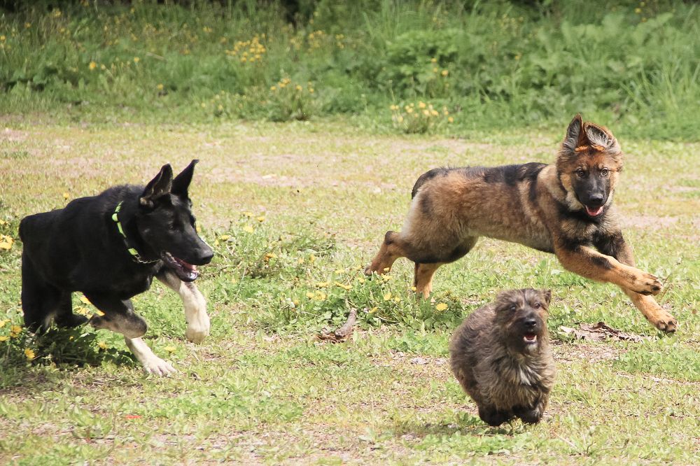 Photograph by Ольга