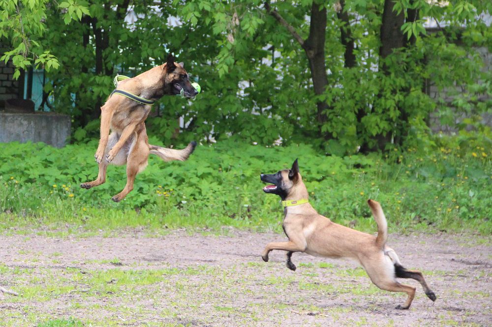 Photograph by Ольга