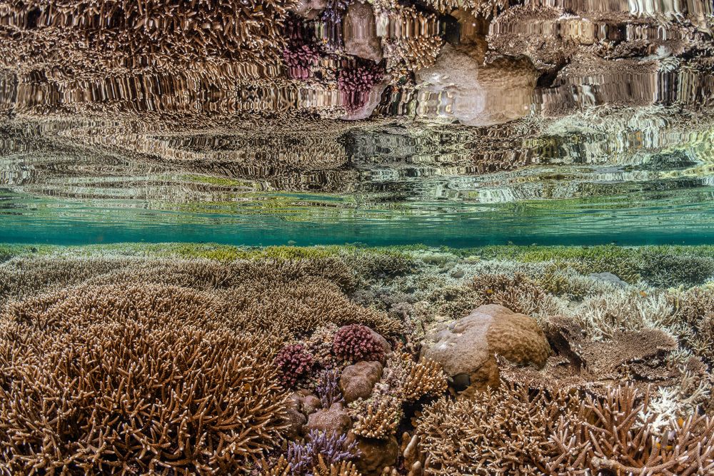 Photograph by Nadya Kulagina